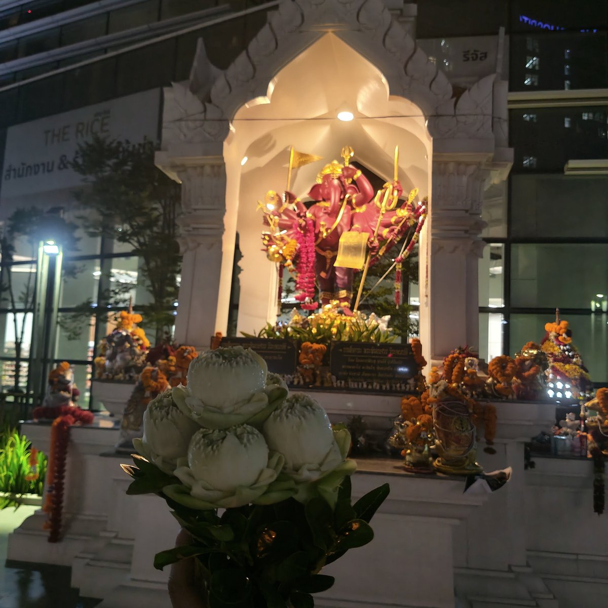 jariyateaw's tweet photo. 🌼🙏 วันนี้แวะมาไหว้องค์พ่อพระพิฆเนศปางวีรคณปติ 🙏🌼

ขอให้องค์พ่อประทานพรแก่ทุกคนที่ผ่านมาพบโพสต์นี้ 💛✨

🌼 มีแต่ความโชคดี
🌼 พบเจอแต่โอกาสดี ๆ
🌼 สิ่งที่หวังสำเร็จดังใจ
🌼 อุปสรรคคลี่คลาย
🌼 ได้รับข่าวดีในเร็ววัน

🕉️ บทสวดบูชาองค์พ่อพระพิฆเนศปางวีรคณปติ 🕉️

โอม เหรัมภะ วีระคณปตเย นะมะฮา

(Om Heramba Veera Ganapataye Namaha)

🙏 สวด 9 จบ หรือ 108 จบ ตามกำลังศรัทธา

ขอให้องค์พ��อเมตตาประทานชัยชนะ ขจัดอุปสรรค เปิดทางสู่ความสำเร็จ และสมหวังในสิ่งที่ปรารถนาทุกประการ ✨

🕉️ โอม ศรี คเณศายะ นะมะฮา 🙏