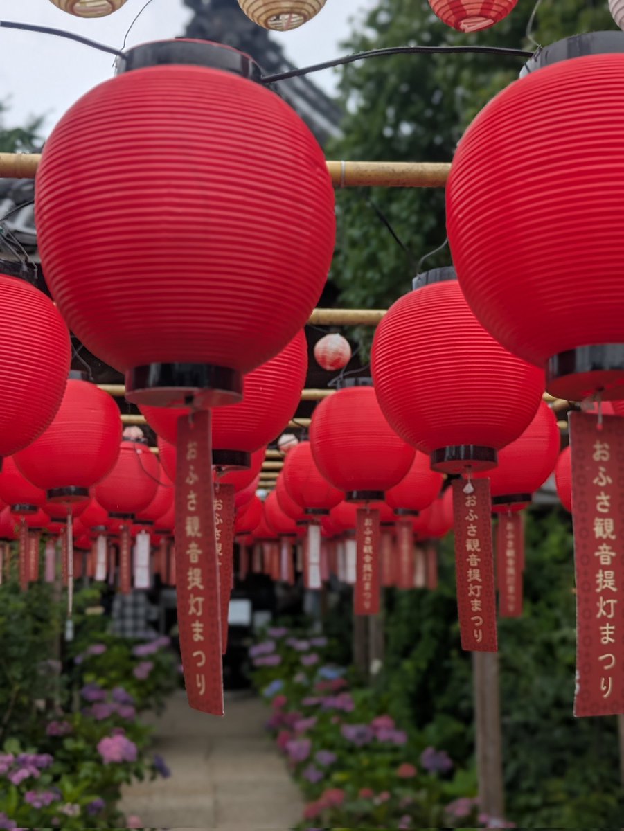 14kyosuke0529's tweet photo. 最近自然とかお寺神社巡りとかが趣味と思われてるけど、多分写真撮るのが趣味にな��てる！あと、��り絵御朱印がかわいくてハマってる
カメラもいずれ欲しいとは思うけど、今は携帯でどれだけ上手く撮れるかと21歳の子に教えてもらって、動画編集も教えてもらってる😊
今日も仕事終わりにお寺神社巡り https://t.co/uCAkfwEHWz