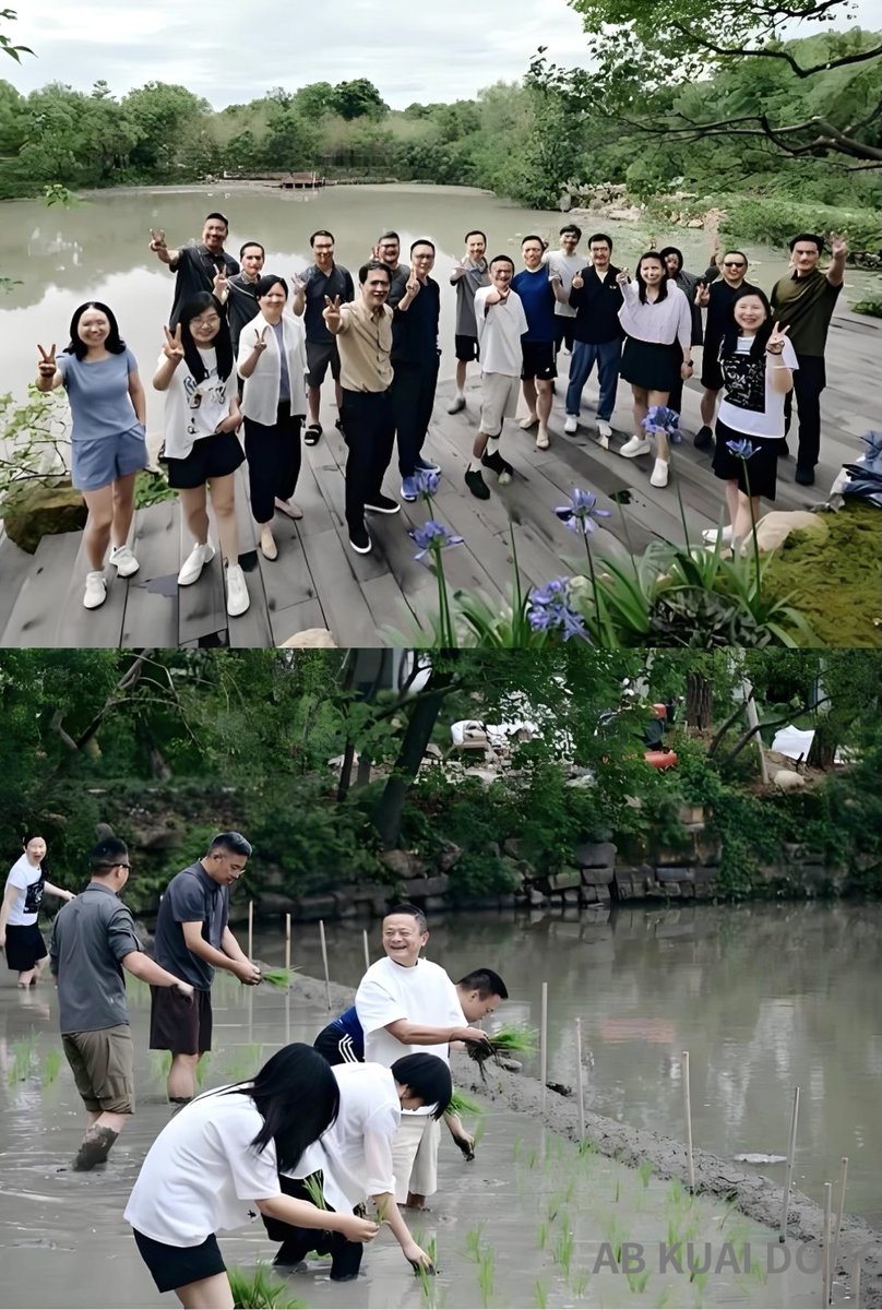 _FORAB's tweet photo. 感觉很久没看到马云新照了。今天阿里合伙人、高德董事长刘振飞，在阿里内网发文，称手里有秧，才能确保未来有粮。

文章内容是记录了，近日阿里管理层，在杭州一次下田插秧的团建活动，创始人马云依然是 C 位。 https://t.co/Jxy1tNL59w