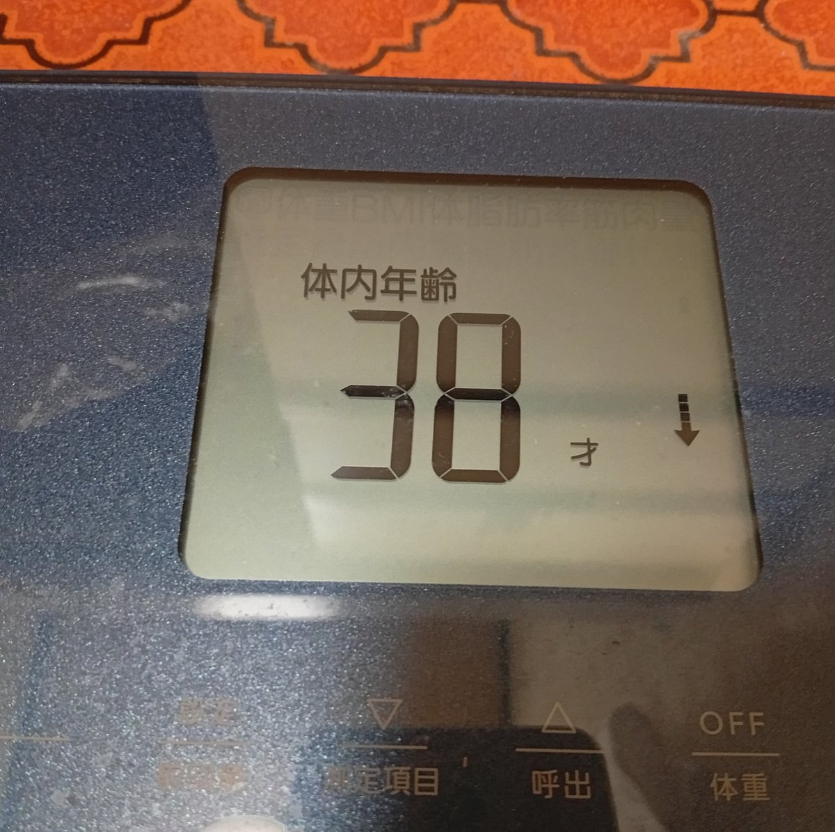 VIEW78171547's tweet photo. そういや先週で49歳になりました
50にリーチとかマジかよ🙄
幸いどこも悪い所なくて病院とも無縁、仕事自体が有酸素運動だし筋トレも継続できてて体内年齢は-10歳超え
食生活を改善すればもっと下げれそうだけどアスリートじゃないからそこまではやらん🍗🍟🍫笑
でも今の水準はキープしていきたいねえ https://t.co/ESyspK4rxS