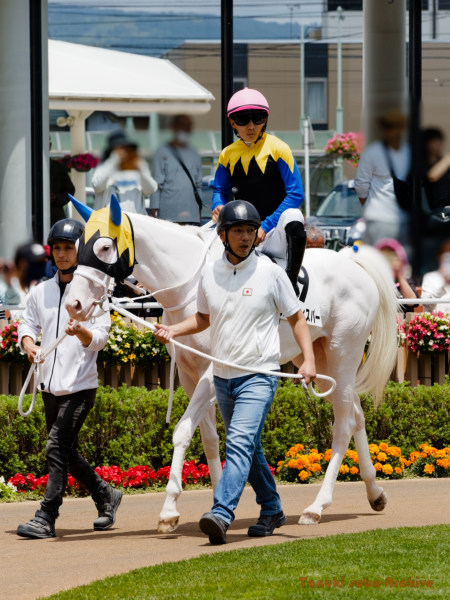 KatsuTopAce's tweet photo. 20260620函館競馬場スノーウィスパーその２
とても風強かったですが函館だと普通なのかも。
#函館競馬場 #スノーウィスパー #OM1mk2 #DxOPL9 https://t.co/duOgaXrjJ6