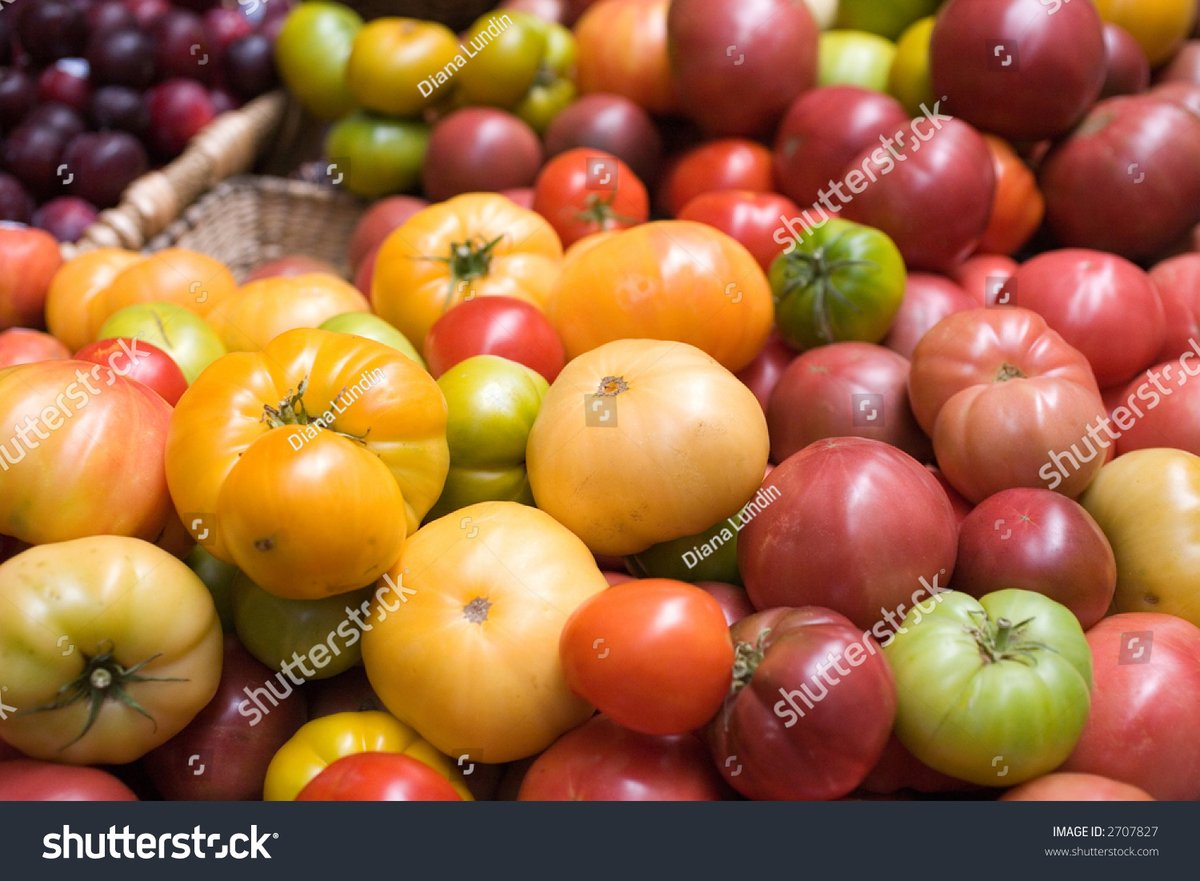 TGRockonWeb's tweet photo. This farm-grown heirloom tomato is a game-changer! Juicy, sun-ripened, and bursting with natural sweetness—no extra sugar needed. Perfect for salads or a quick snack.  #FreshProveReview， https://t.co/XmuKdVs6Ht