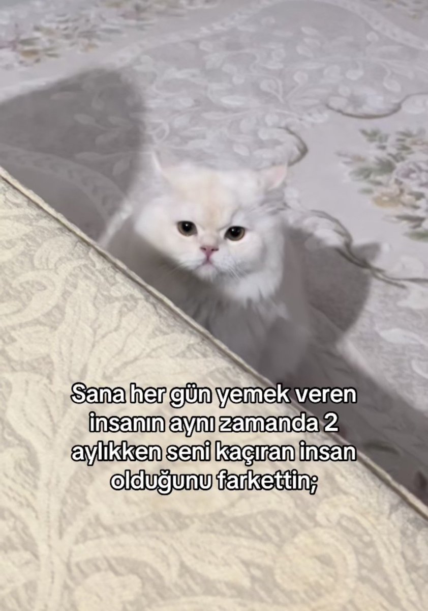 anlikmod's tweet photo. https://t.co/5nztkHZUof