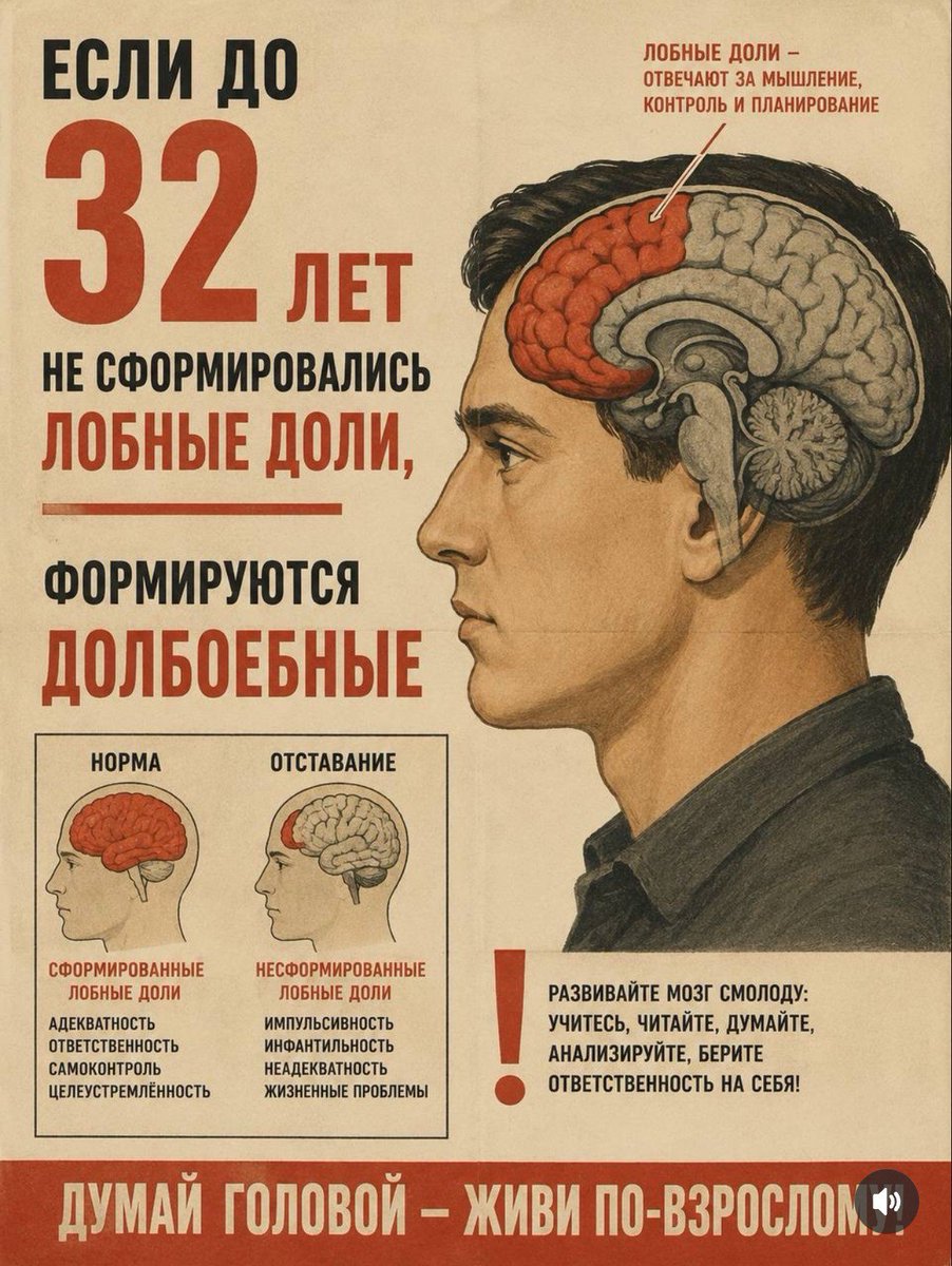 Смотрящий за происходящим ©️ tweet media