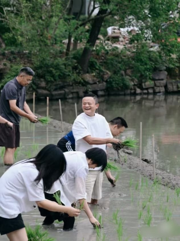 whyyoutouzhele's tweet photo. 马云时隔三个多月再次露面，6月22日，有阿里内网员工爆料，阿里巴巴合伙人、高德董事长刘振飞在阿里内网发布了一篇名为《手里有秧，才能确保未来有粮》的帖子，分享了在杭州与马云等人插秧的故事，并附上照片。
照片显示，包括马云、吴泳铭、井贤栋、韩歆毅、邵晓锋、蒋凡、吴泽明、蒋芳等在内的阿里及蚂蚁集团核心管理层，在杭州集体下田插秧。