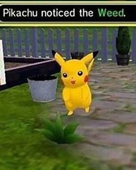 deskmatis's tweet photo. Pikachu? https://t.co/DJYsRcCvlY