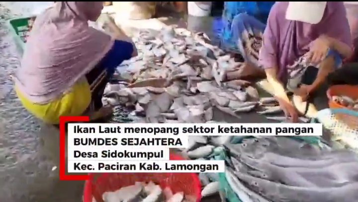 Askand17's tweet photo. Dari laut utk desa, dari desa utk ketahanan pangan. BUMDes Sejahtera Desa Sidokumpul Lamongan  

@YandriSusanto
@ARizaPatria 
@KemensetnegRI

#KementerianDesaPDT
#BPSDMKementerianDesaPDT
#BUMDesBangunEkonomiDesa
#BangunDesaBangunIndonesia
#KerjaPendampingDesaBerdampak https://t.co/1w4Mgny3x6