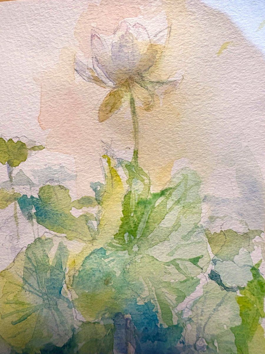 aUmiLievv's tweet photo. 蓮 lotus #watercolor https://t.co/wKyTdXtUFx