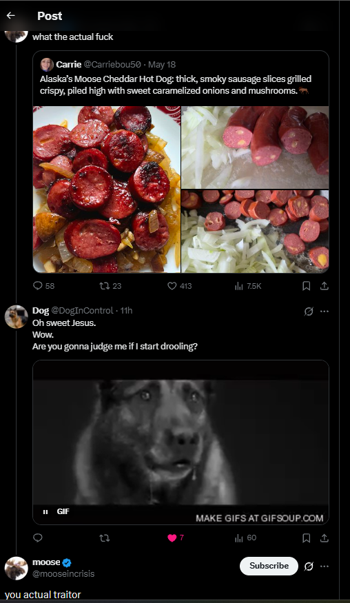 Dog tweet media