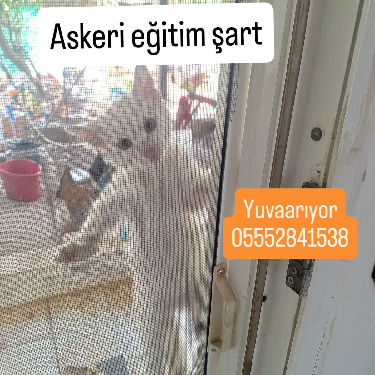 Toprak- Ana tweet media