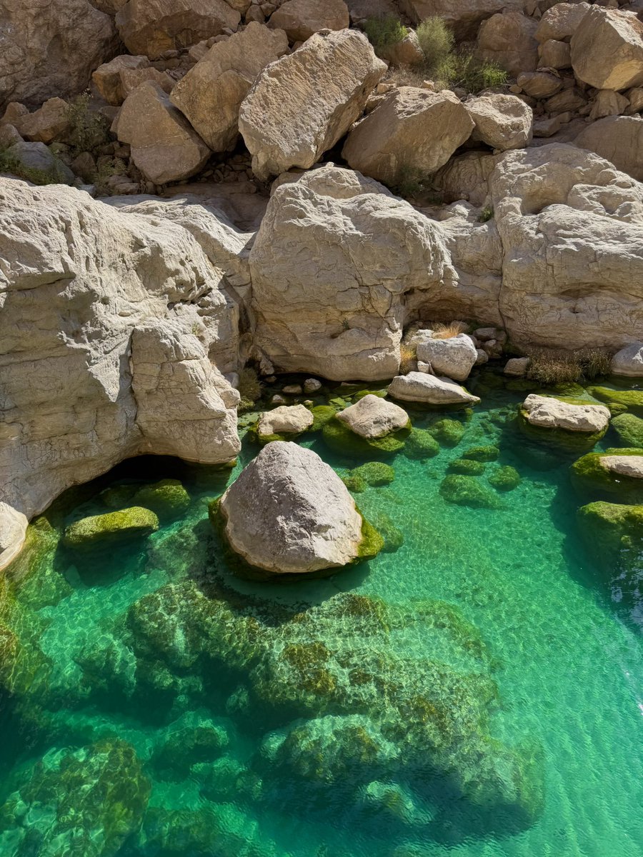 enkratya's tweet photo. oman c’est trop pinterest coded https://t.co/g9atKtZkUo