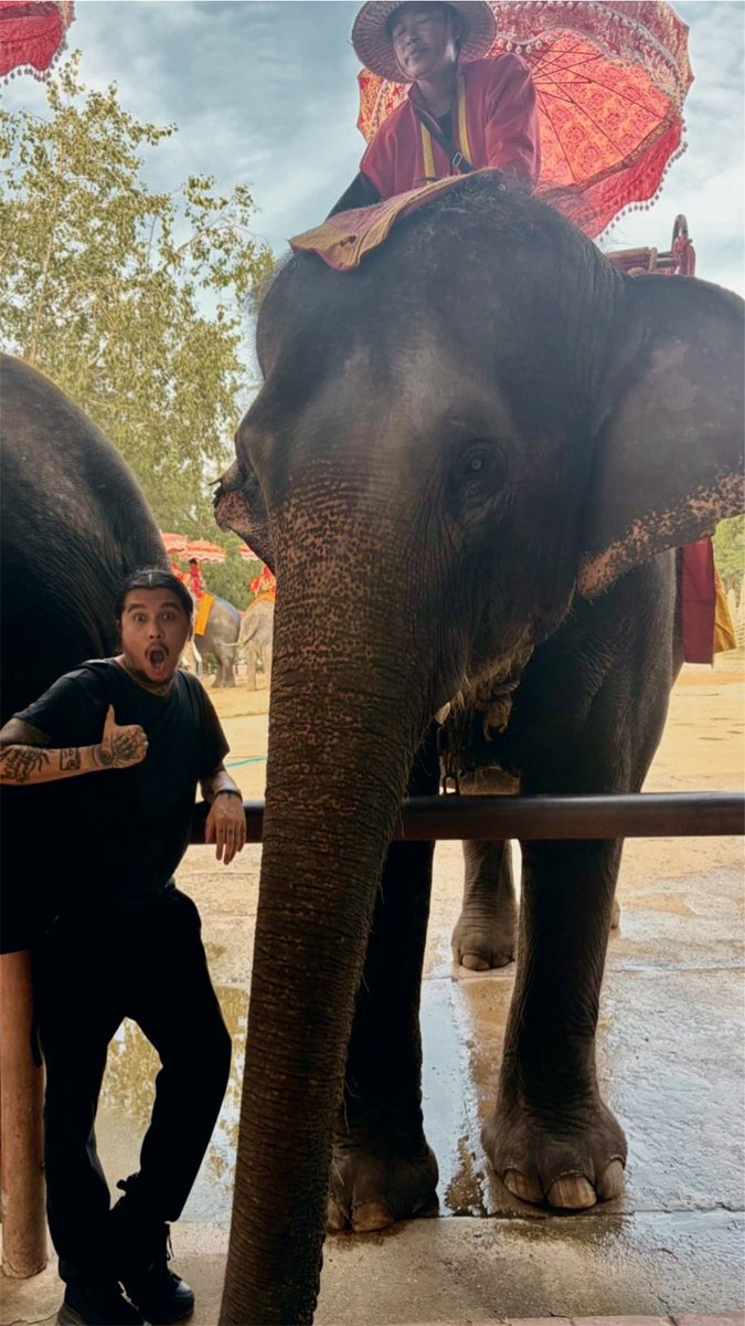 itsjustduran's tweet photo. 🐘🇹🇭🐘 https://t.co/e3Bm98eXtd