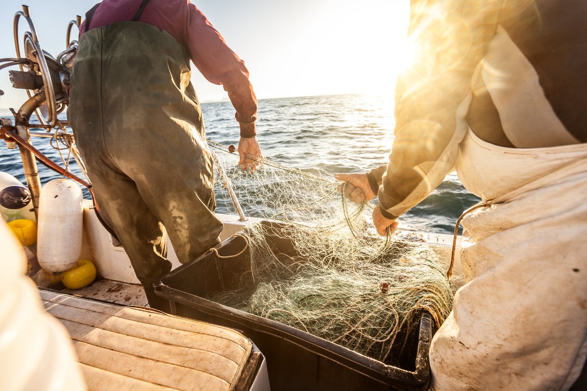 EUCouncilPress's tweet photo. The first day of the #AGRIFISH Council started with:

🐟 State of play of the regulation on conditions for the Union support to the fisheries, aquaculture and maritime policy for 2028-2034

🎣 Sustainable fishing opportunities for 2027

🎥 watch LIVE
https://t.co/S6FTpvT8LN https://t.co/ZopL6OC7mD
