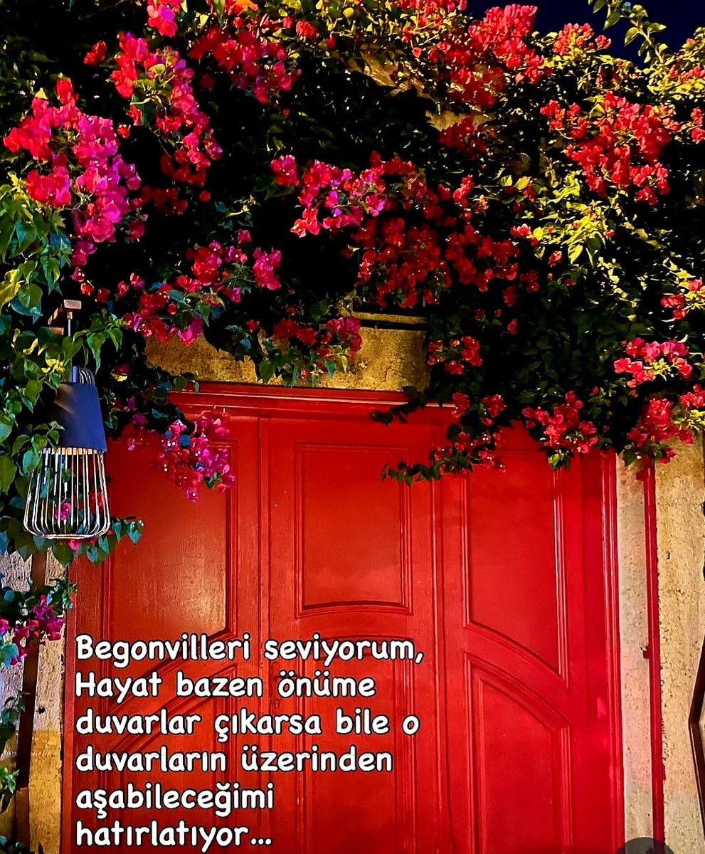 SemaEski180800's tweet photo. Taş duvarlardan hayata inat fışkıran canlı renkleriyle,kabına sığmayan tavırlarıyla,asi halleriyle tam bir savaşçı🌟

#Begonvil
#rengarenk https://t.co/1HgWAdOMSj