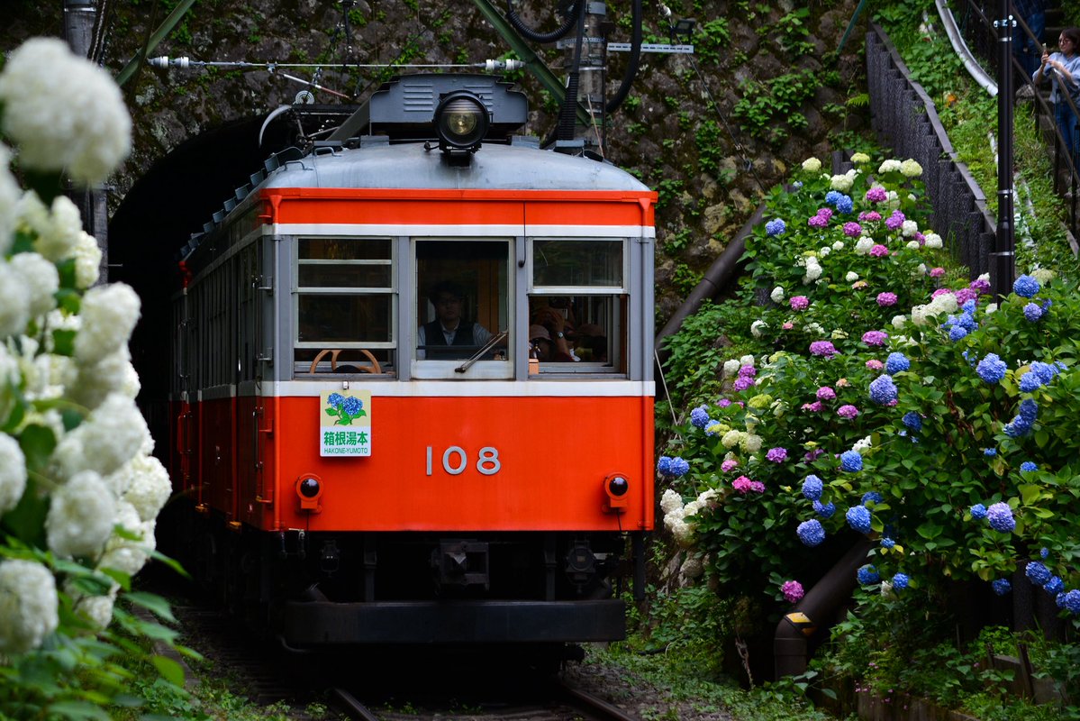 MACHIDA_TAMA's tweet photo. 2026.6.22

久々に箱根登山鉄道の撮影に行きました。 https://t.co/PA6wEriTM7