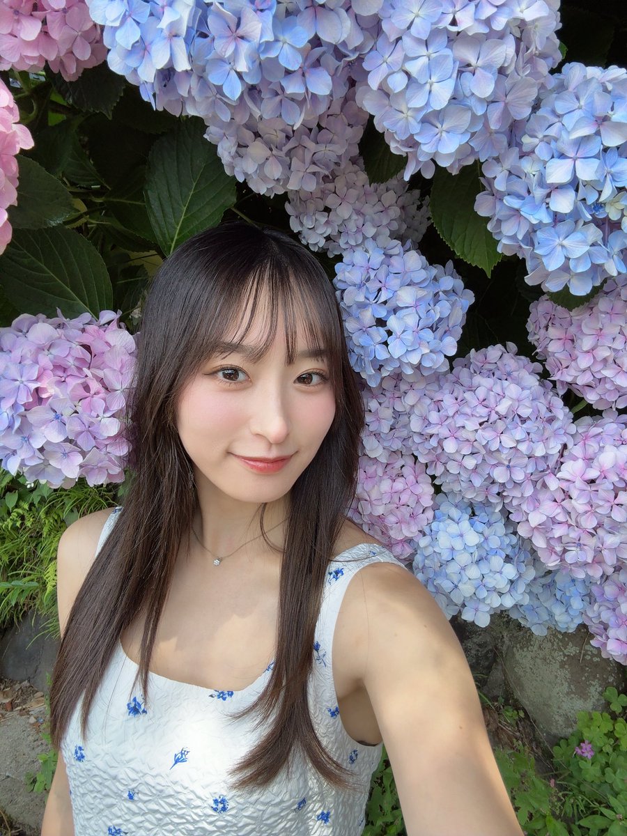 usakirasaepyon's tweet photo. 紫陽花 https://t.co/Iw2H0sI6dH