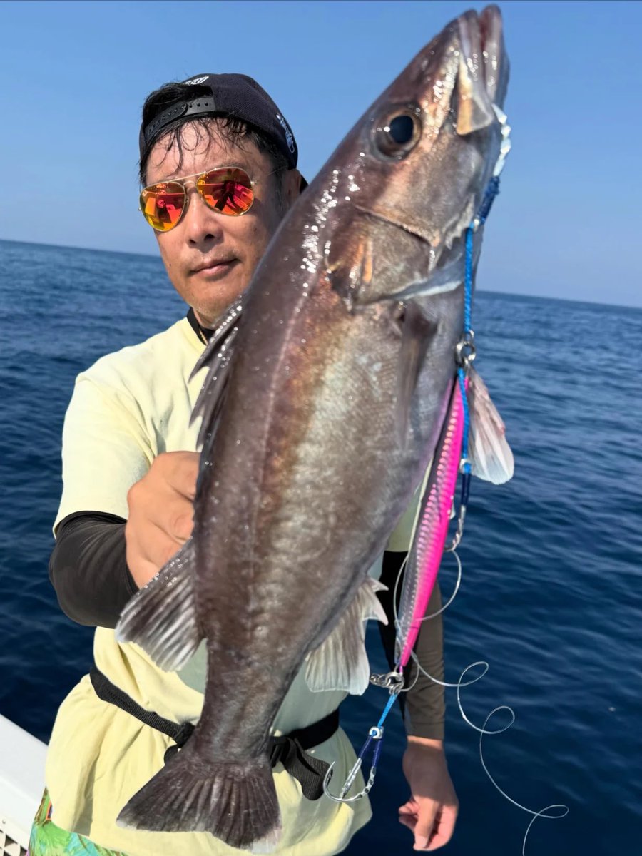 hariyoshi777's tweet photo. ♦︎釣果報告♦︎

佐渡海峡の深場でアラ４本ゲット🔥

最大6.3kgの良型！

使用アシストフック🪝
WLターコイズ 5/0,  WLストロング 7/0が大活躍✨

#はりよし #ウェーブライン #ジギング #アラ #佐渡海峡 https://t.co/SDFAGVEf9D