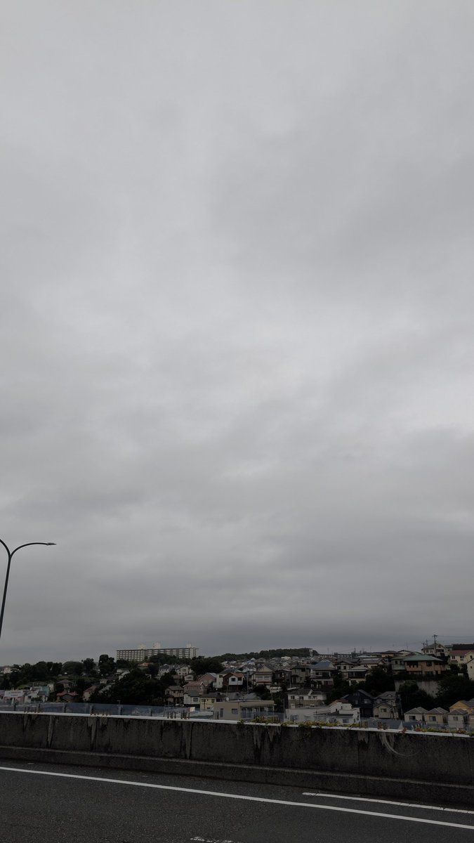 h_quest's tweet photo. #イマソラ 
鳴き声は上手く撮れなかったかな⋯警戒してるし⋯ https://t.co/y95lelIqA7