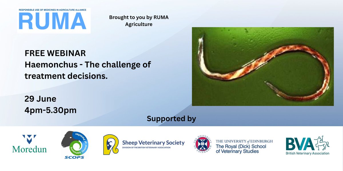 RUMA_UK's tweet photo. Haemonchus is an increasing concern for the sheep sector and knowing when treatment is truly needed is key. Join RUMA Agriculture on 29 June, 4pm–5.30pm, for a timely expert webinar: 'Haemonchus – The challenge of treatment decisions.'
With contributions from #SCOPS @SheepVetsoc @EdinburghUni @MoredunComms @BritishVets the session will explore parasite risk, clinical signs, FAMACHA cards, 2025 case studies and treatment decision-making for 2026.
Book your place via Eventbrite: https://t.co/lFt6oUul1a. SQP CPD points available.
#Haemonchus #SheepHealth #AnthelminticResistance #ResponsibleUse #LivestockHealth