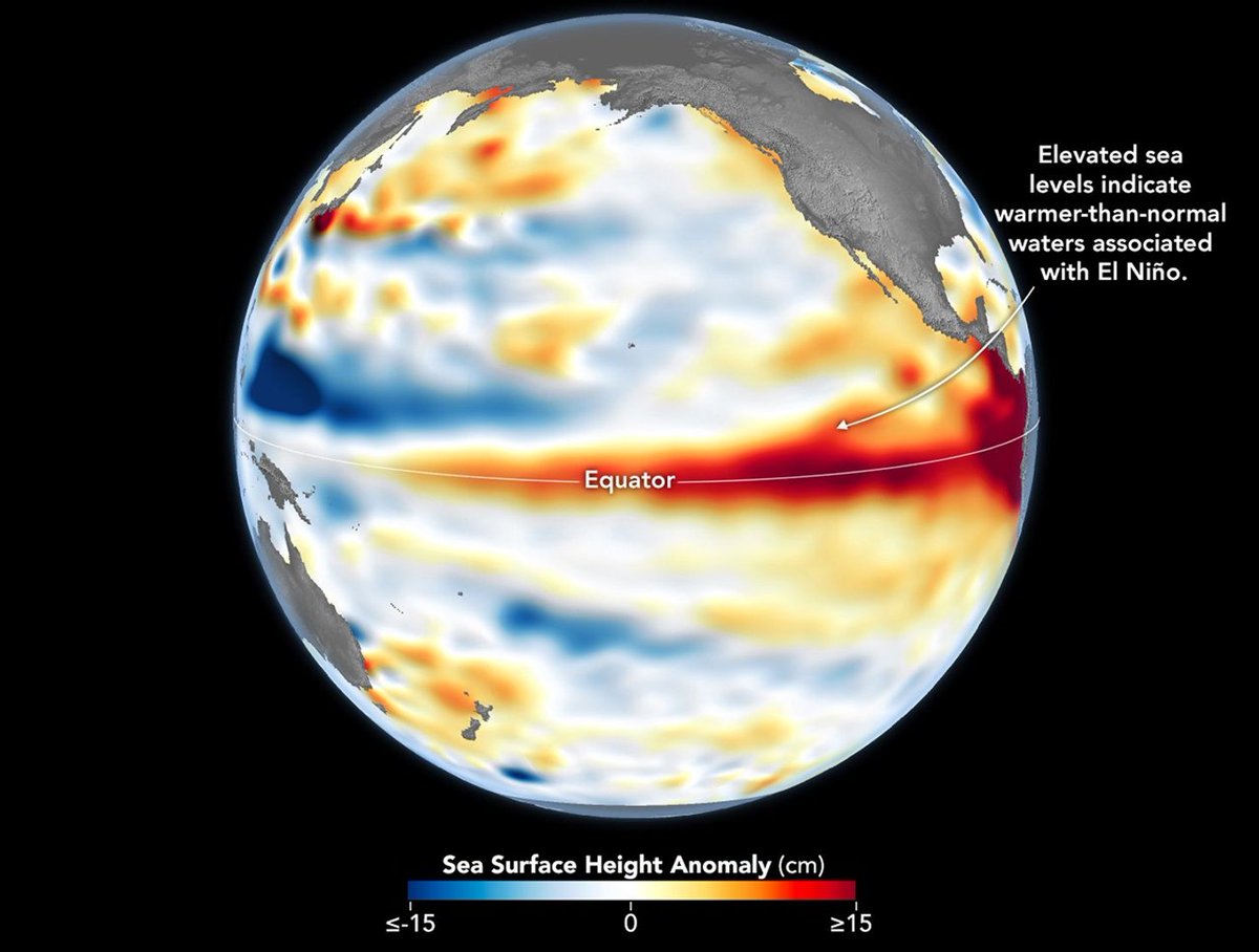 CienciaDelCope's tweet photo. El Niño ya está en marcha: los satélites detectan señales de un posible episodio climático de gran intensidad.
🌎 Las observaciones del Sentinel-6 advierten de una acumulación excepcional de calor en el Pacífico ecuatorial que podría anticipar uno de los eventos de El Niño más importantes de los últimos años. https://t.co/7kWvmDbPUr