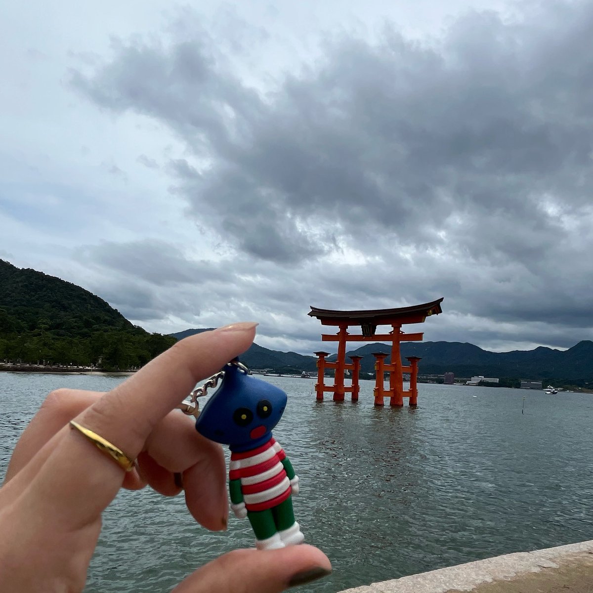ももかん tweet media