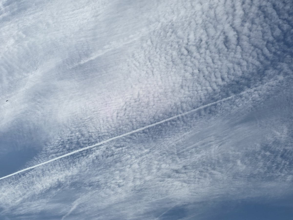 MarkRogers55808's tweet photo. Realy am I meant to believe this is natural 

Frequency waves

Chemtrails causing shadows

Sun looking like some cunt  is playing with a beginner chemistry set 

What the actual fuck .....
And yet I still here people in public say what a lovely day ........

Wake the fuck up https://t.co/WougVt1DKQ