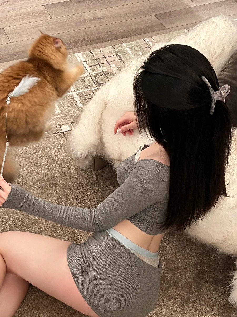masayan1976mi's tweet photo. 想再养个小狗狗🐶 https://t.co/vApGoHPNXW