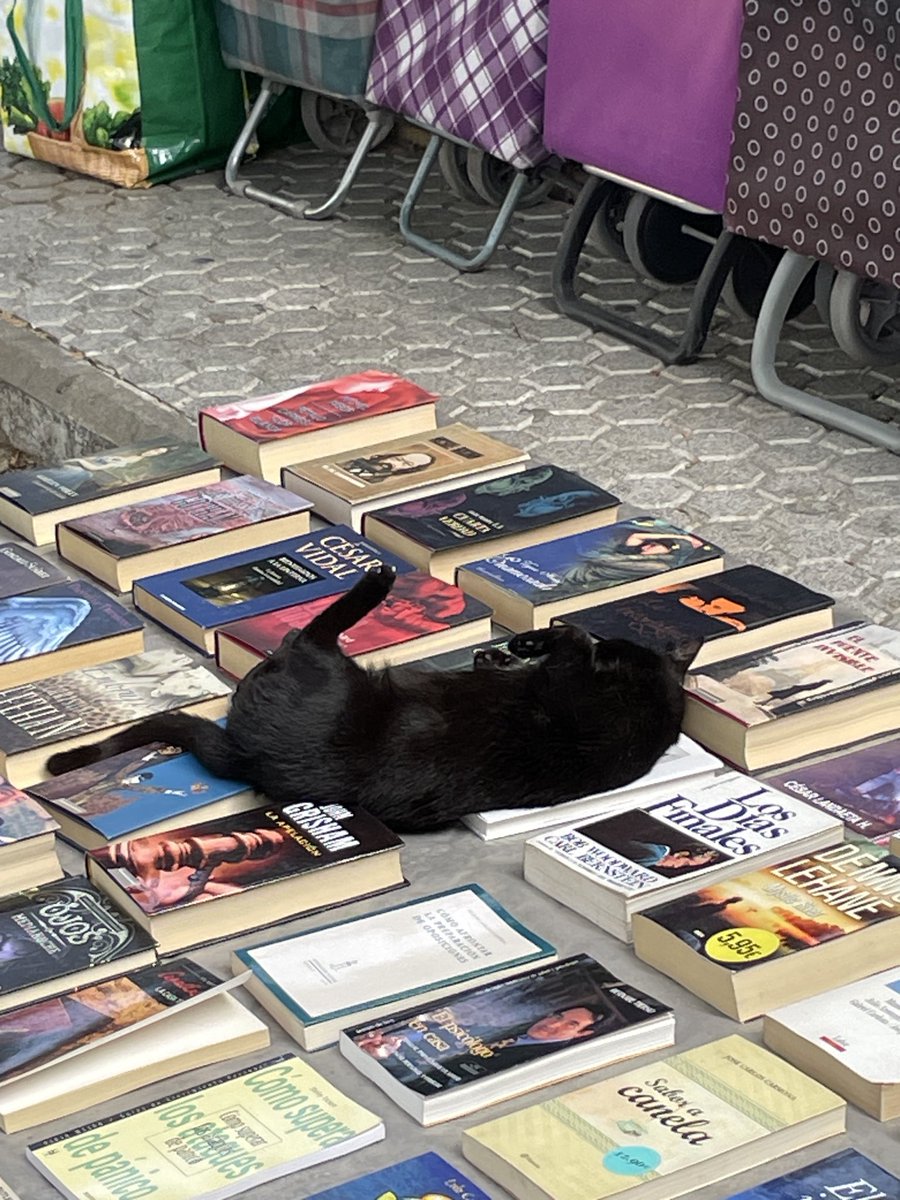 bollosev's tweet photo. Demostrado. La lectura es buena para el insomnio, da igual qué especie seas https://t.co/M2zCOpS2bj