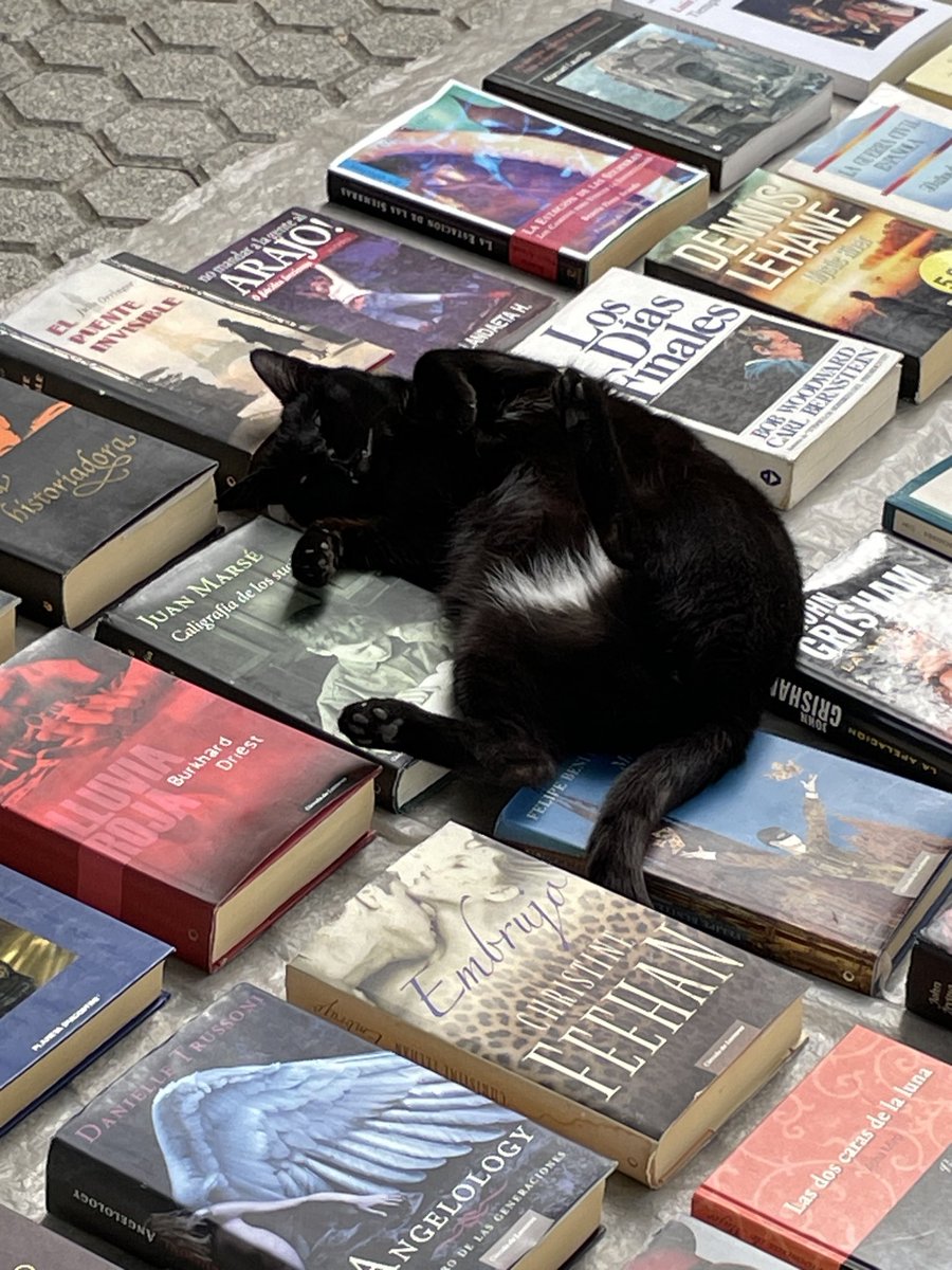 bollosev's tweet photo. Demostrado. La lectura es buena para el insomnio, da igual qué especie seas https://t.co/M2zCOpS2bj