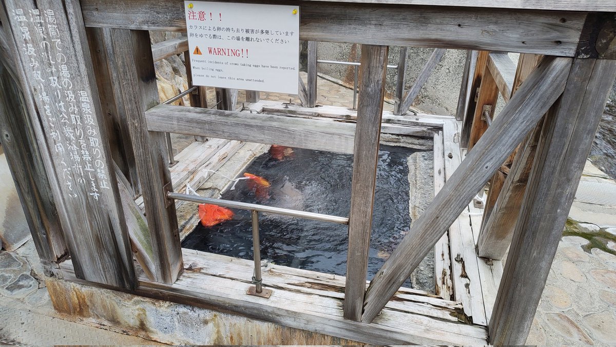 ray0bell's tweet photo. 湯の峰温泉♨　ほんのり硫黄の香り。気持ちよかったー(⁠☆⁠▽⁠☆⁠)
🦌し、つぼ湯は断念！ https://t.co/cEV1PNj1ZD