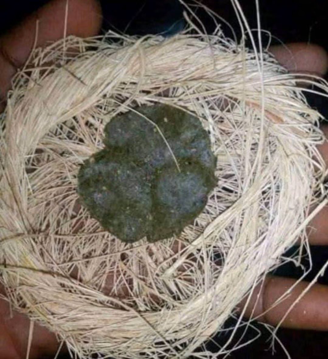 ThaOracleOfAges's tweet photo. #SACRED__CLEANSING__FOR__OPEN__WAY

ITEMS;

• Tomatoes leaves 

• Anti-witch bark 

PROCESS;

Grind the two together and mix with Ghana soap

USAGE; late at night, rub ur body with palm oil and bathe the soap with new native sponge whilst saying ur prayers 

Shalom 🌌 https://t.co/G2uRrI1L6y