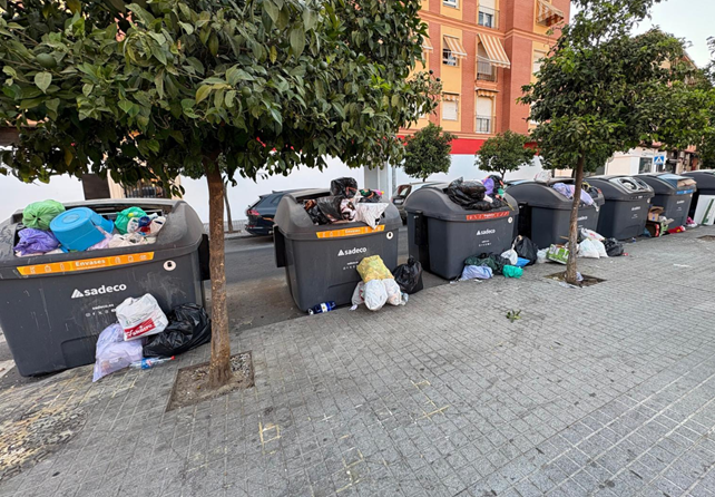 cordopolis_es's tweet photo. FOTOGALERÍA | Las quejas e imágenes de la basura sin recoger se multiplican por la ciudad https://t.co/N8shGayQm9 https://t.co/xhVonuoQom