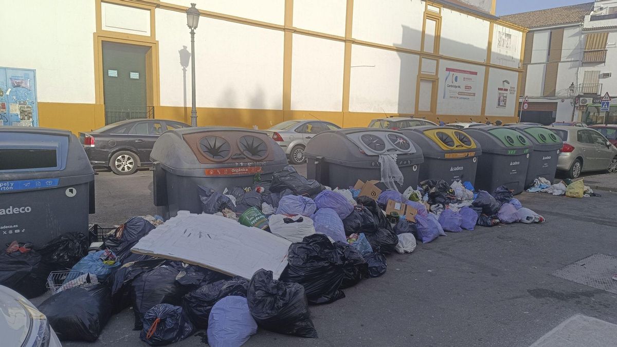 cordopolis_es's tweet photo. FOTOGALERÍA | Las quejas e imágenes de la basura sin recoger se multiplican por la ciudad https://t.co/N8shGayQm9 https://t.co/xhVonuoQom