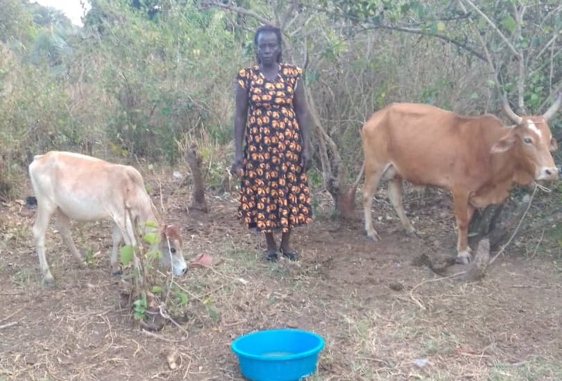AnkundaMag's tweet photo. Acholi communities continue to demonstrate that when people are empowered with the right support, government programmes like PDM deliver results. #WhyUgDecidedM7 https://t.co/oYabBCnpyU