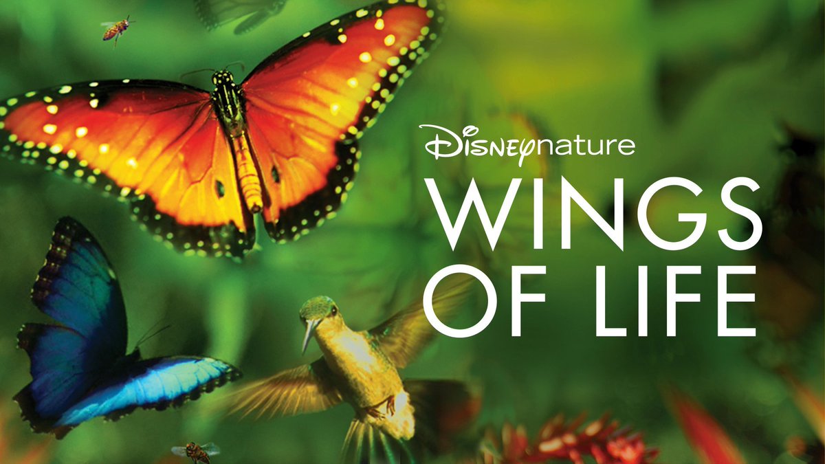 Disney_Wiki's tweet photo. Happy Birthday, Meryl Streep
For Disney, she protrayed the Witch in #IntoTheWoods (for which she received an Academy Award nomination), and Topsy in #MaryPoppinsReturns.
She also served as the narrator in Disneynature's #WingsOfLife and voiced the Insect Queen in #Hopppers. https://t.co/77pY9LXOZl