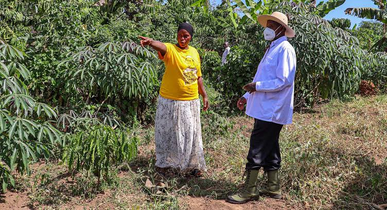 AnkundaMag's tweet photo. Emyooga strengthens enterprise resilience by helping groups withstand economic shocks and grow stable, income-generating ventures. #WhyUgDecidedM7 https://t.co/my3fN3uNrp