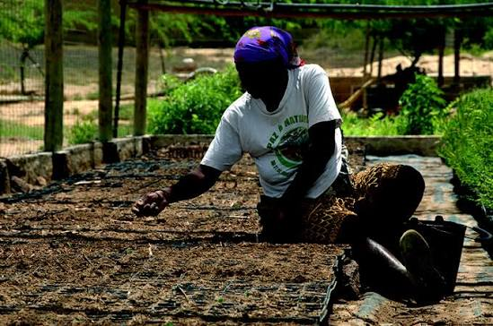 AnkundaMag's tweet photo. Government programmes continue to lay a strong foundation for a prosperous Uganda by investing in people, skills, and local production. #WhyUgDecidedM7. https://t.co/7fDhOwZuvl