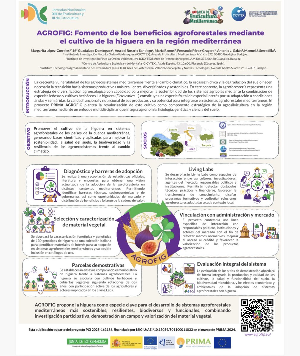 AgrofigPrima's tweet photo. 🌿 Last week, the AGROFIG project was presented at the XIII National Fruit Growing and III Citrus Growing Conference, held in Zaragoza, Spain. #AGROFIG #Agroforestry #FigTree #SustainableAgriculture https://t.co/9Ol3MJNzcU