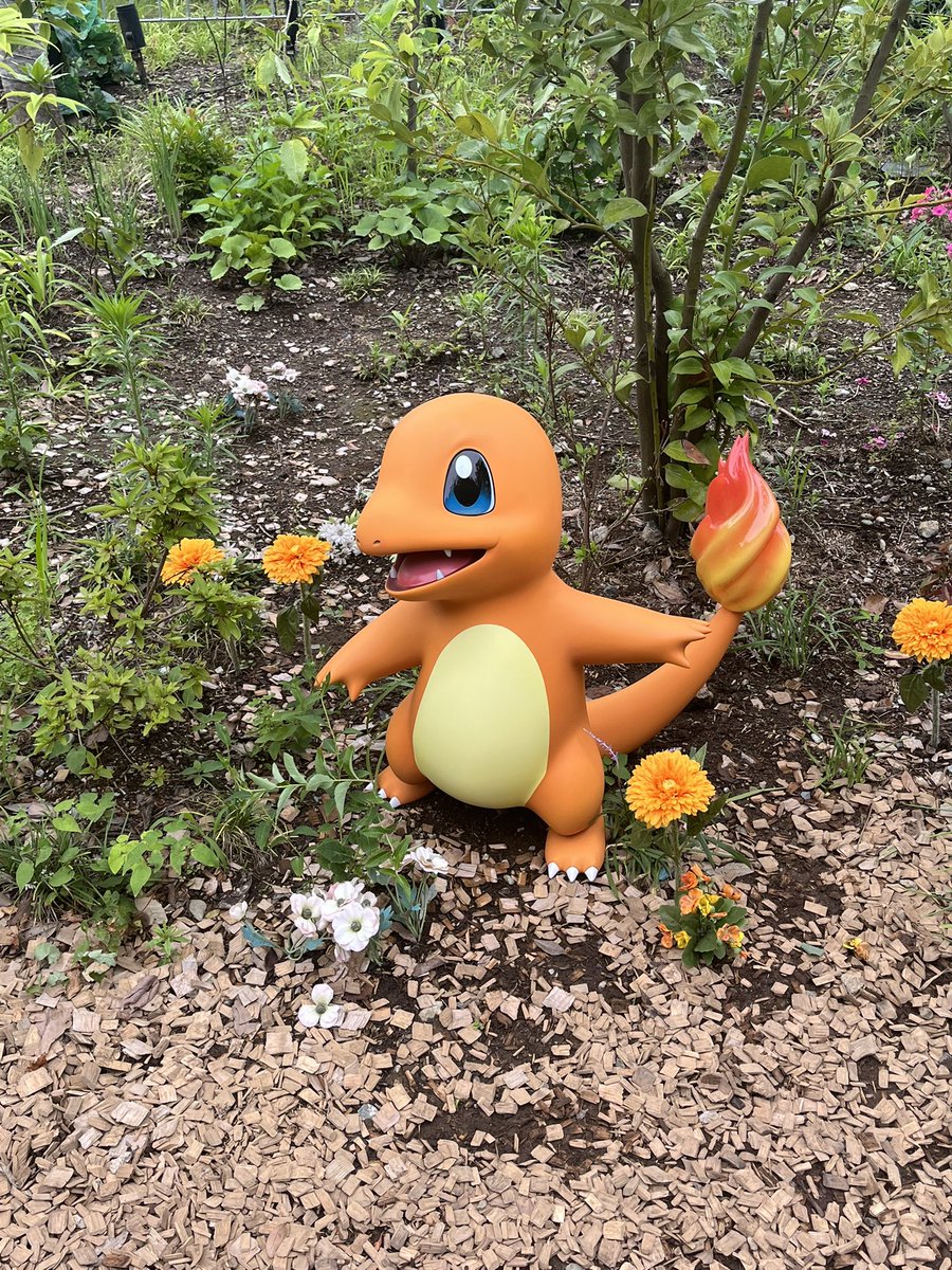 run_reve1969's tweet photo. ポケパークカントー楽しかった！
涼しくて丁度よかった！ https://t.co/O0BsxWB3LH