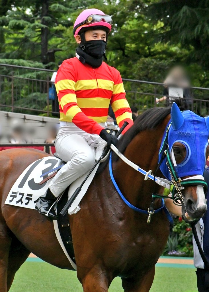 ma4_miyu's tweet photo. 2026.6.21 東京1R
障害3歳以上未勝利

デスティネ×江田勇亮騎手
萱野浩二厩舎 https://t.co/OrHye6ynKO