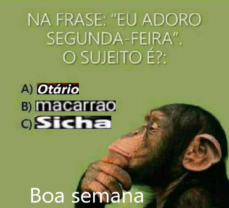 MacarraoSicha's tweet photo. chegamos na segunda 💔 https://t.co/XEEw8FFMLY