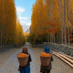 Photo by Saqib Feroz 🇵🇰🇵🇰🇵🇰 (@saqibf)