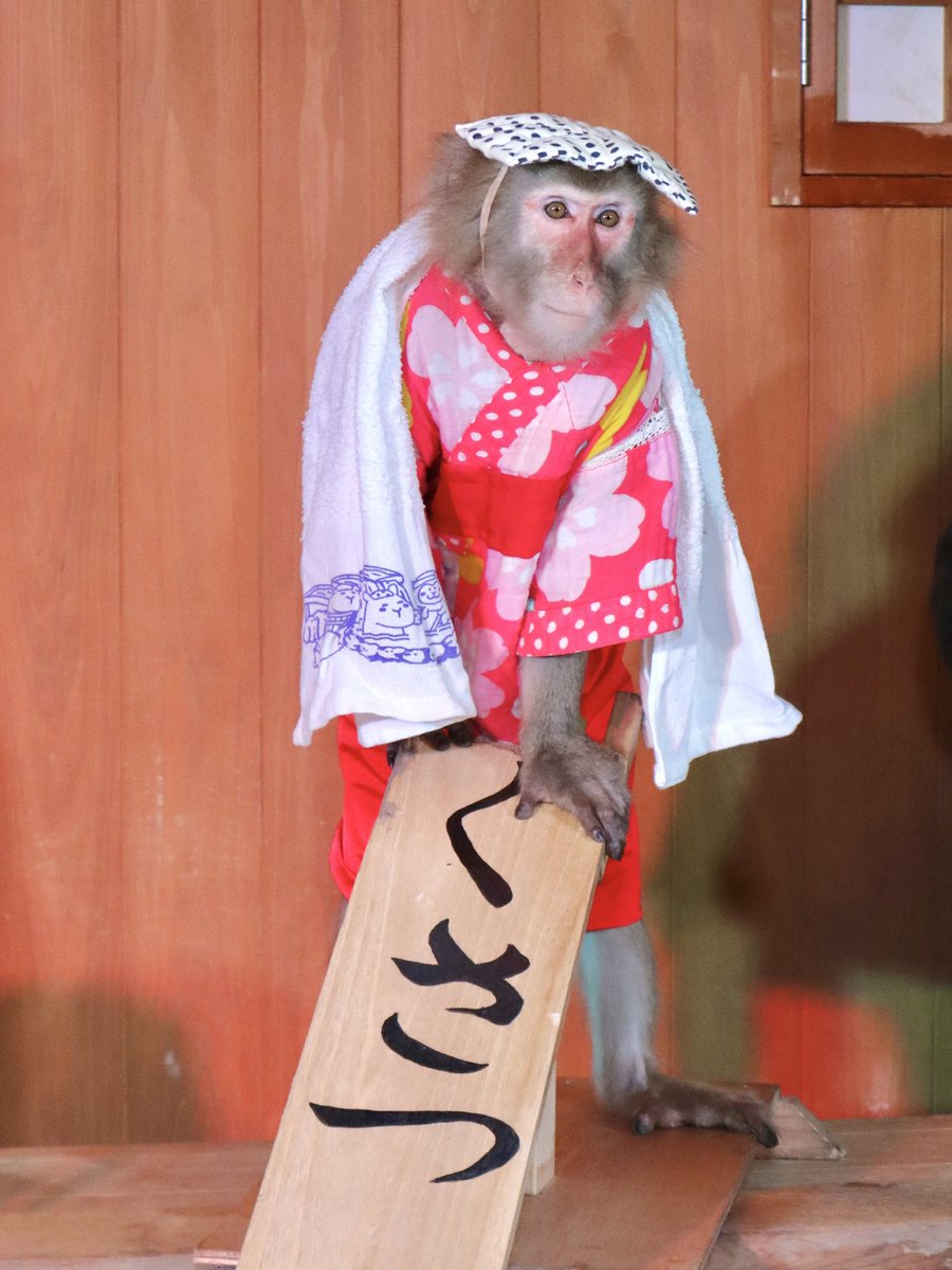 __nnooee__'s tweet photo. 全然会えてなかったから、久しぶりのあおいちゃんに会いに草津へ♨️
最後はさきちゃんも

#あおいえみ 
#りゅうせいとさき 

0622 https://t.co/qwauUekytJ