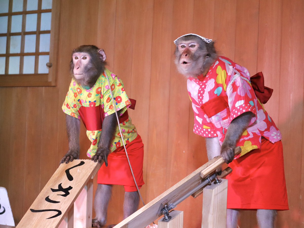 __nnooee__'s tweet photo. 全然会えてなかったから、久しぶりのあおいちゃんに会いに草津へ♨️
最後はさきちゃんも

#あおいえみ 
#りゅうせいとさき 

0622 https://t.co/qwauUekytJ