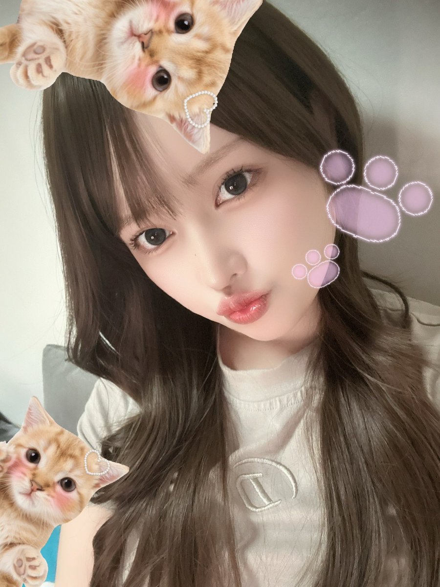 sui_pip's tweet photo. いち、にい、さん、にゃ^._.^💓 https://t.co/4dfhTZMdPw
