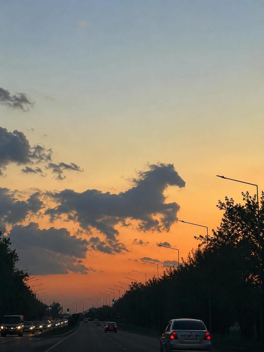 AmazingNature00's tweet photo. 🧐Be honest... what animal do you see here? https://t.co/0SqvwVz1OV
