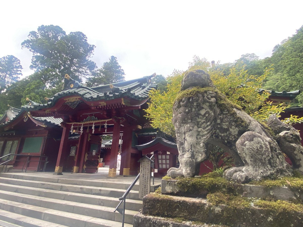 moon42523209's tweet photo. 箱根神社⛩️
一歩敷地に入ると空気が変わった✨本殿に向かう参道が気持ちを清めてくれるような✨
そして、源頼朝･北条政子夫妻が子宝を祈願して、‌無事に授かったことに由来している安産杉もある✨ 完全にパワースポットだ✨ https://t.co/QyapJGgDKu