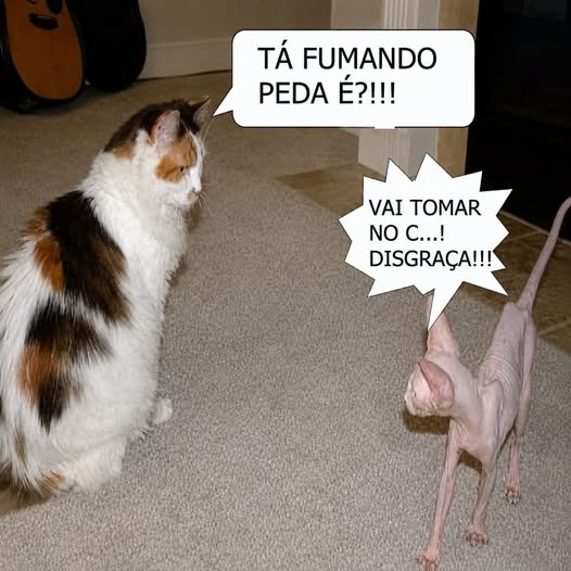 okamalreal's tweet photo. hi 2012! https://t.co/VokNbu3hCP