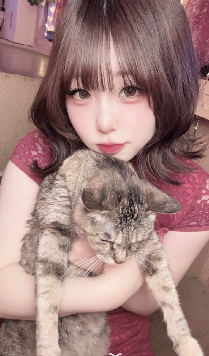 anzu_ReichoL's tweet photo. 本日はあんずがお待ちしております✨
今日も少し雨です☔
お気をつけてお越しください💕

最近みやこさんとのお写真が多いですが、写真撮ってるとみやこさんがお膝にくるんです。愛。好き。されるがままみやこ。 https://t.co/HAMtgxDXhf