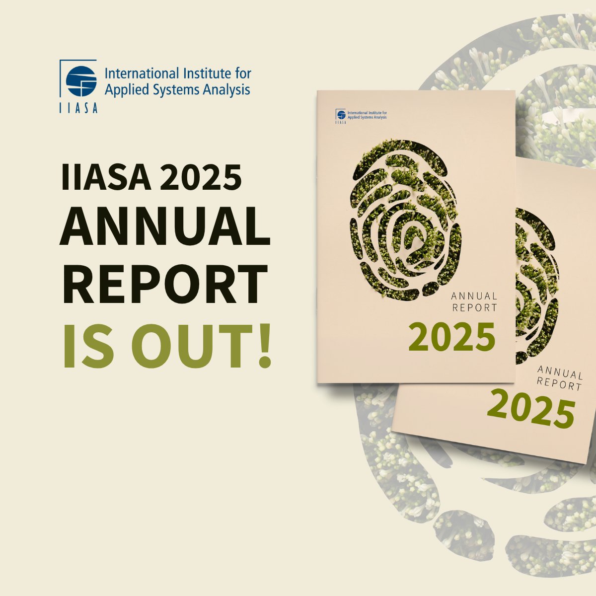 IIASA tweet media